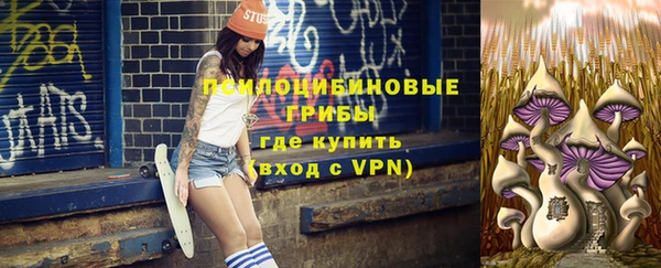 тгк Алексин