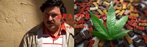 тгк Алексин