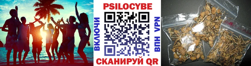 где продают   Нурлат  Псилоцибиновые грибы мицелий 
