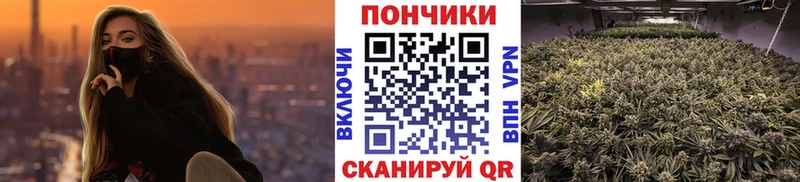 закладка  Нурлат  Бошки Шишки Bruce Banner 